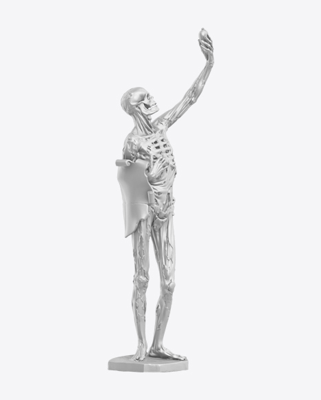 Skeleton Sculpture PNG