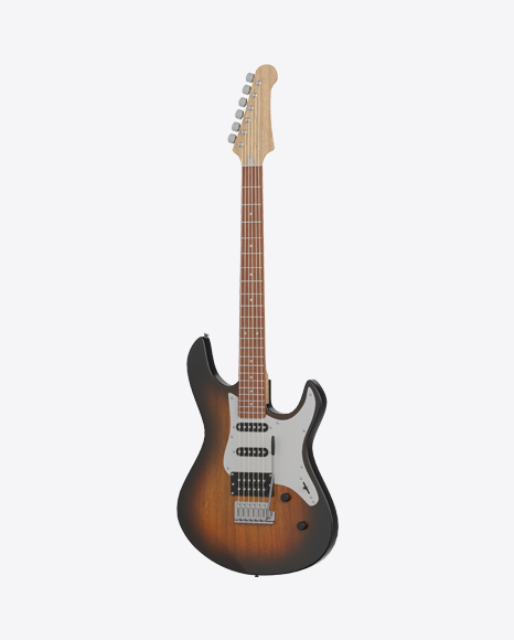 Electric Guitar