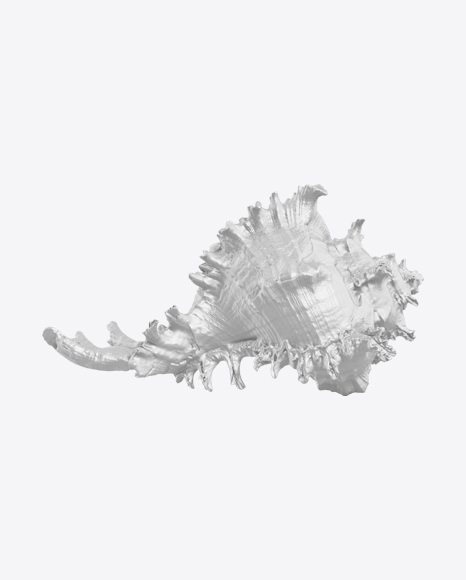 Sea Shell Sculpture PNG