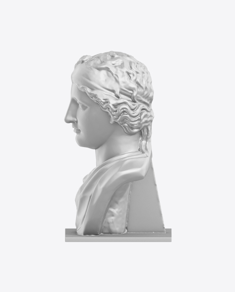 Female Bust PNG