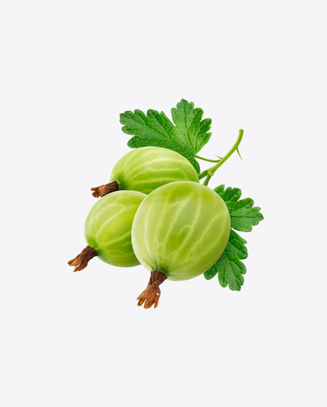 Green Goosberry PNG