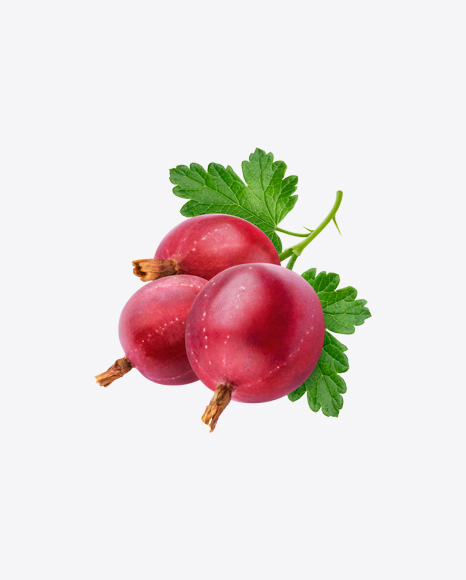 Red Goosberry PNG