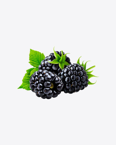 Blackberry PNG