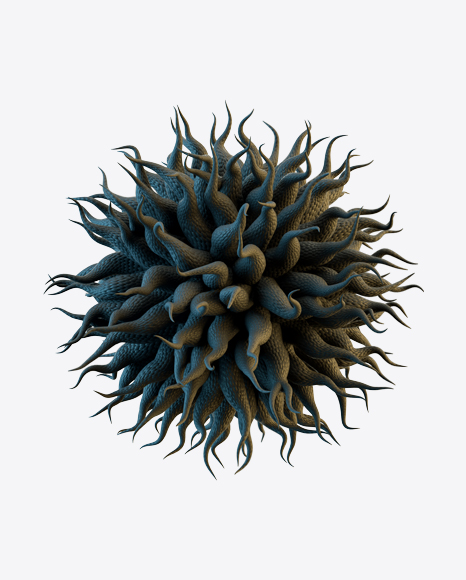 Organic Abstract Object PNG