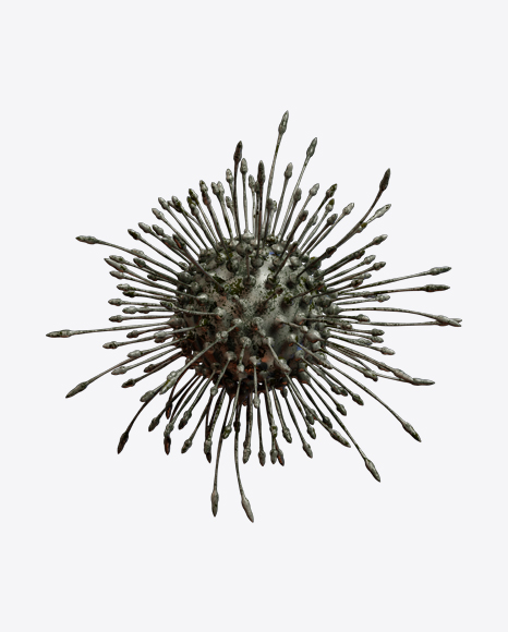 Organic Abstract Object PNG