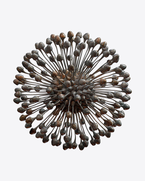 Organic Abstract Object PNG