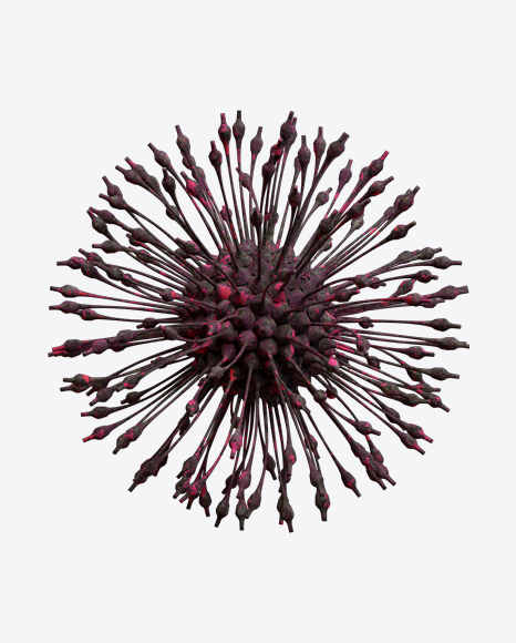 Organic Abstract Object PNG