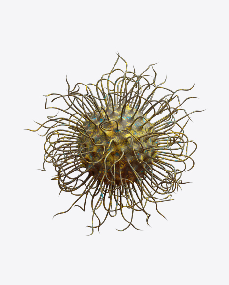 Organic Abstract Object PNG