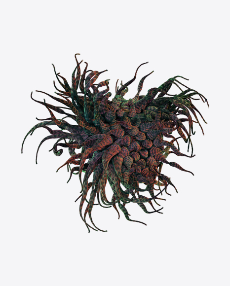 Organic Abstract Object PNG