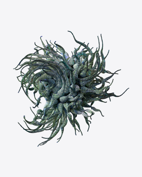 Organic Abstract Object PNG