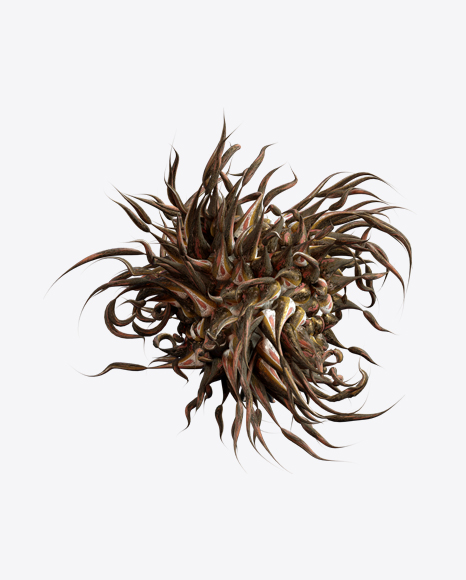 Organic Abstract Object PNG