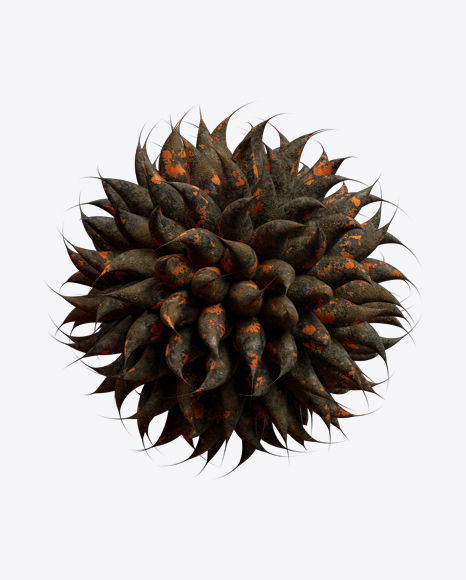 Organic Abstract Object PNG