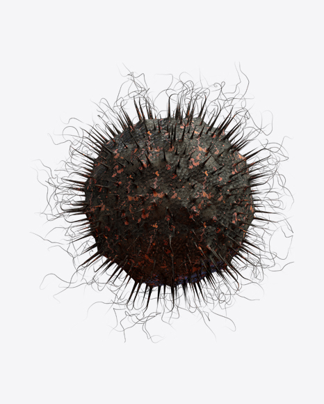 Organic Abstract Object PNG