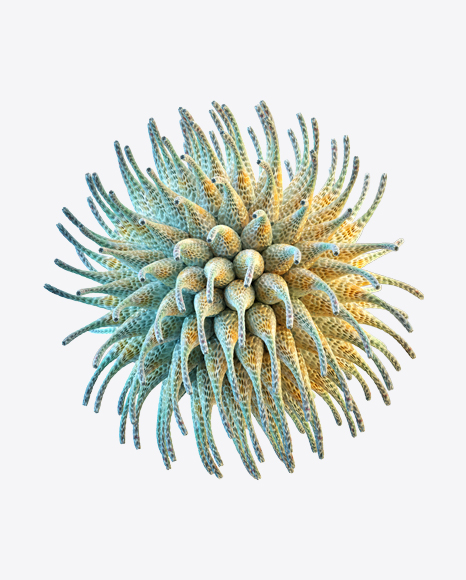 Organic Abstract Object PNG