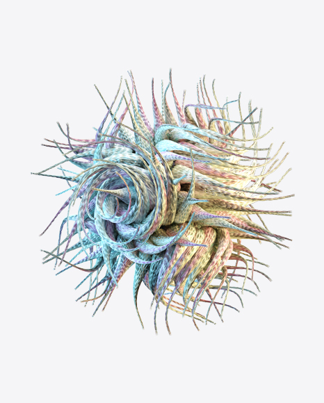 Organic Abstract Object PNG