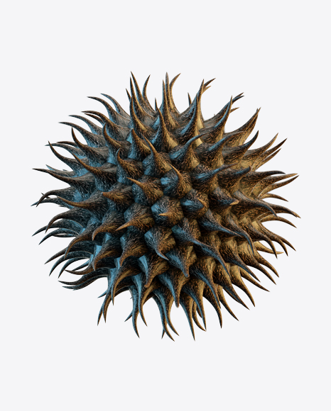 Organic Abstract Object PNG