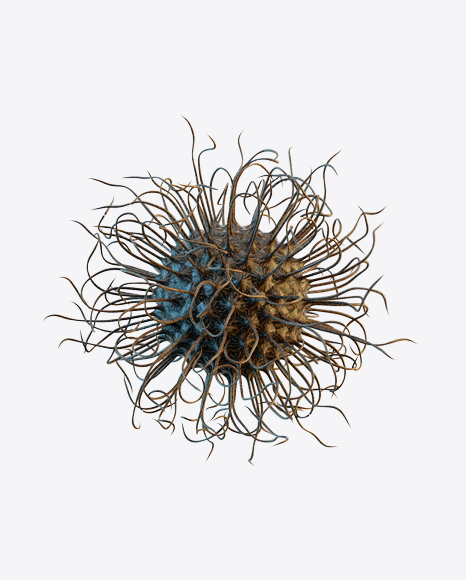 Organic Abstract Object PNG