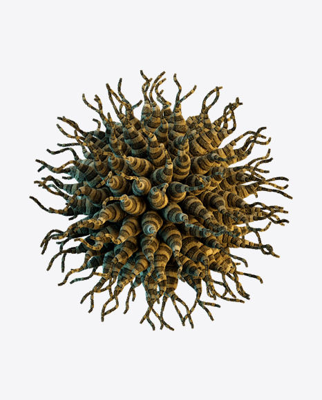 Organic Abstract Object PNG