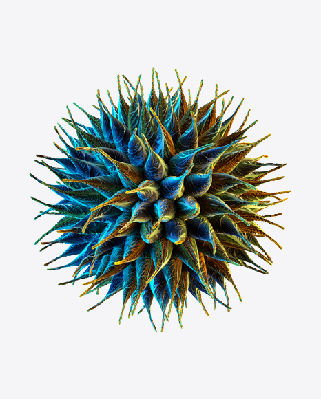 Organic Abstract Object PNG