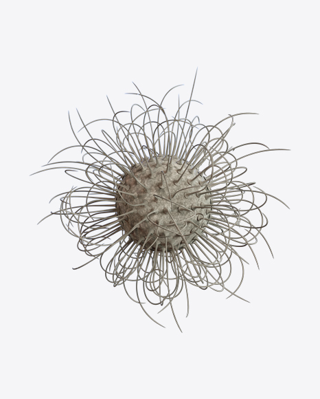 Organic Abstract Object PNG