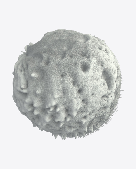 White Abstract Object PNG