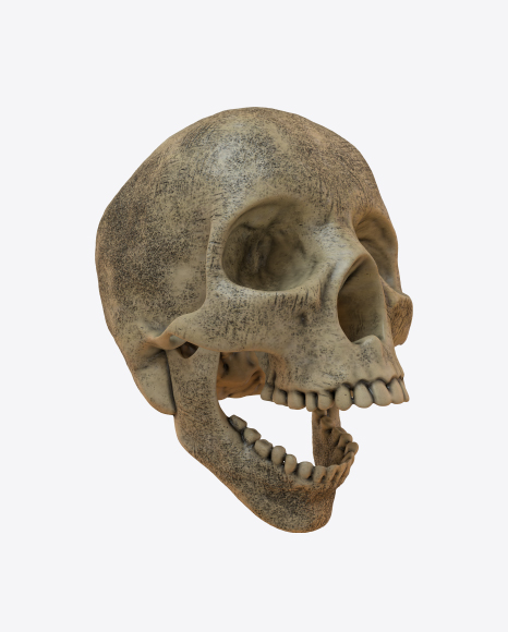 Skull PNG