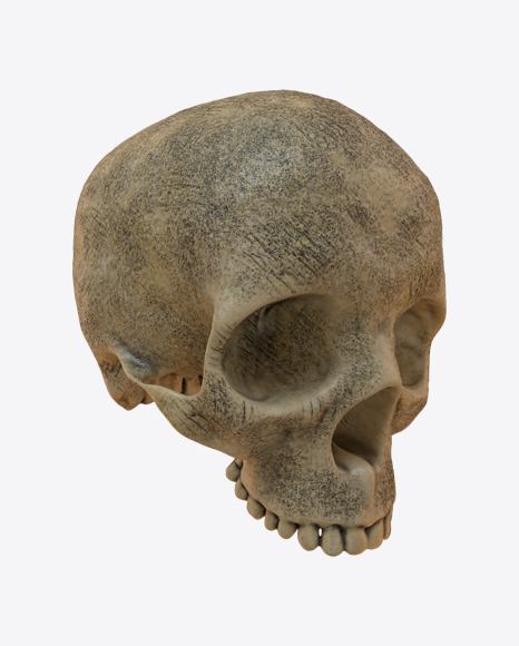 Skull PNG