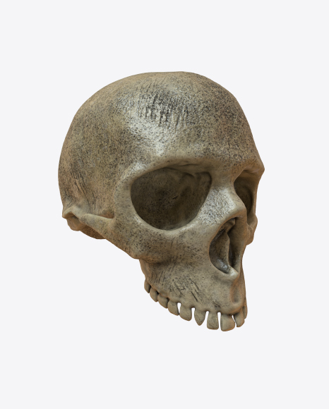 Skull PNG