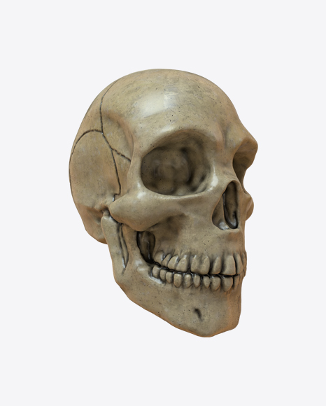 Skull PNG