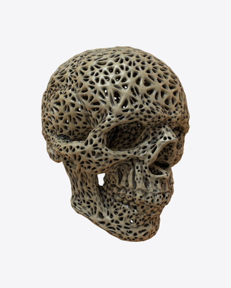 Skull PNG