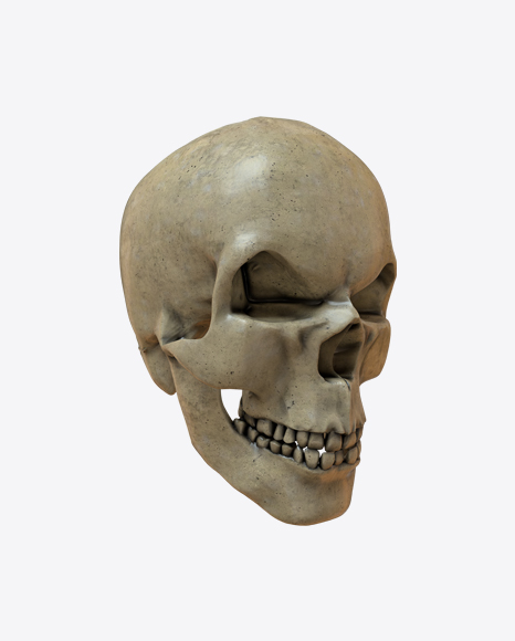 Skull PNG