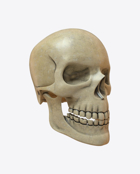 Skull PNG