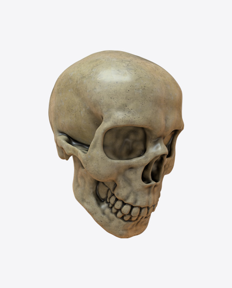 Skull PNG