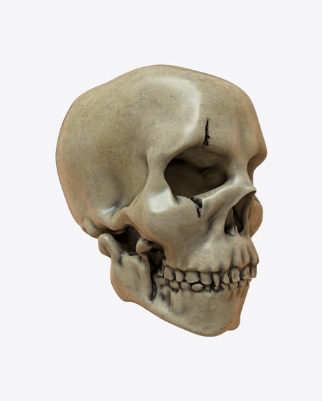 Skull PNG