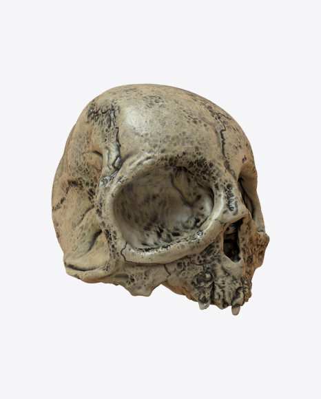 Skull PNG
