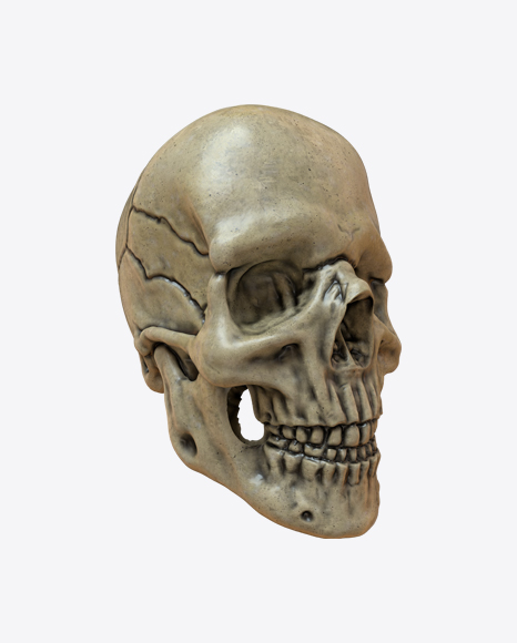 Skull PNG