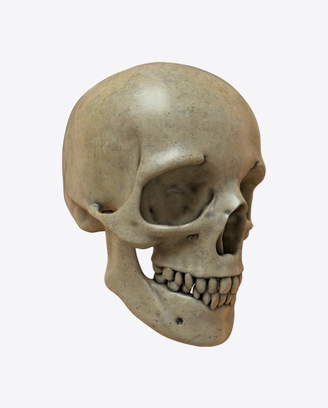 Skull PNG