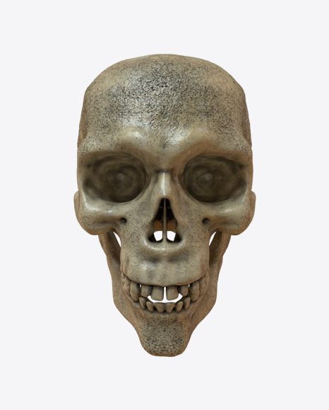 Skull PNG