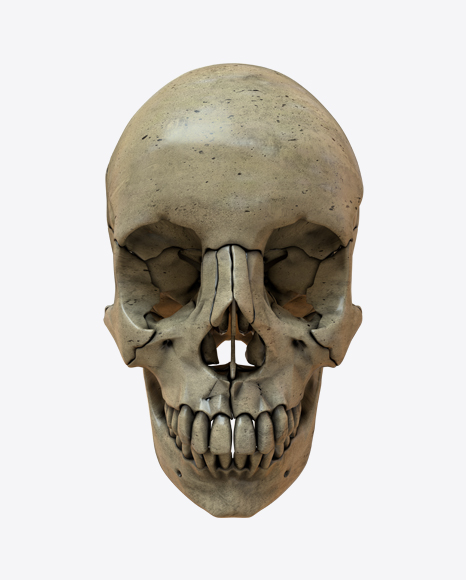 Skull PNG