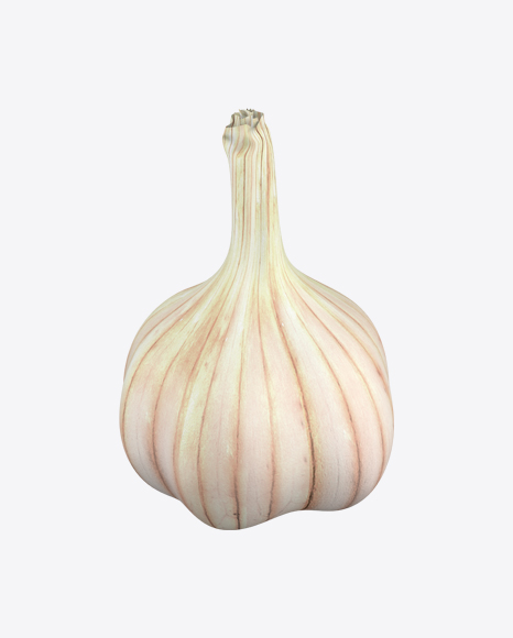 Garlic Bulb PNG