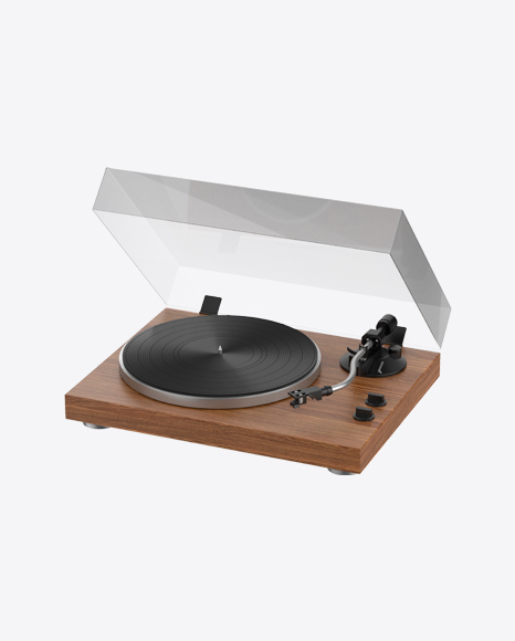 Vinyl Record Player