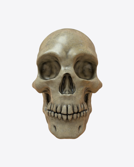 Skull PNG