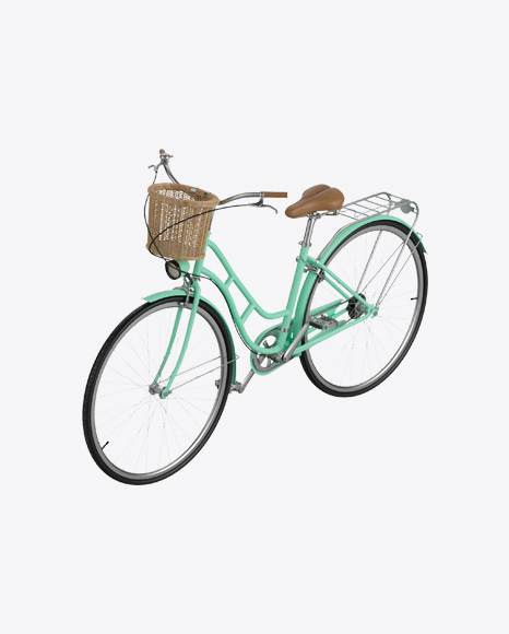 Retro Women's Bicycle