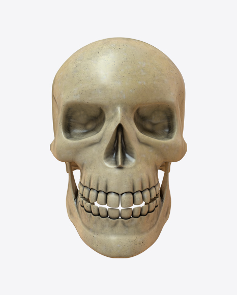 Skull PNG