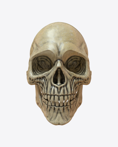 Skull PNG