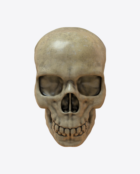Skull PNG