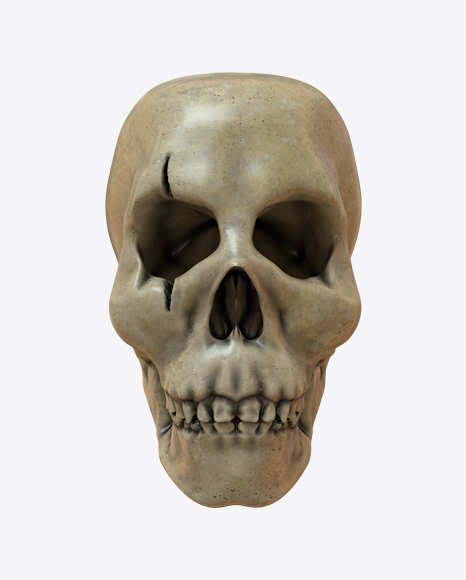 Skull PNG