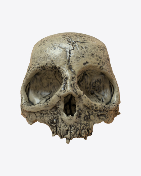 Skull PNG