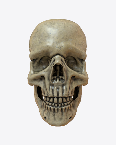 Skull PNG