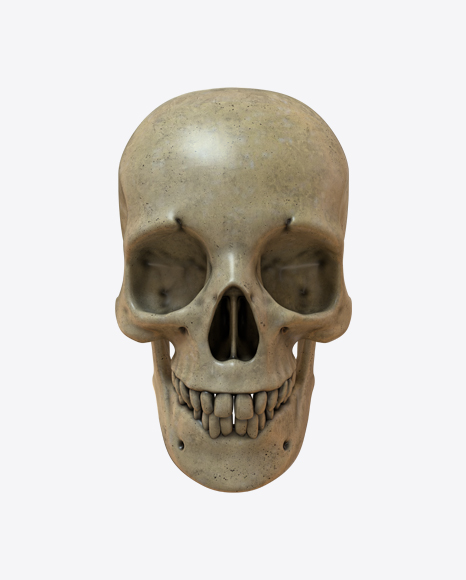 Skull PNG